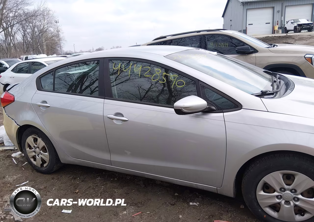 2016 Kia Forte Lx VIN:KNAFK4A61G5439393 - 13