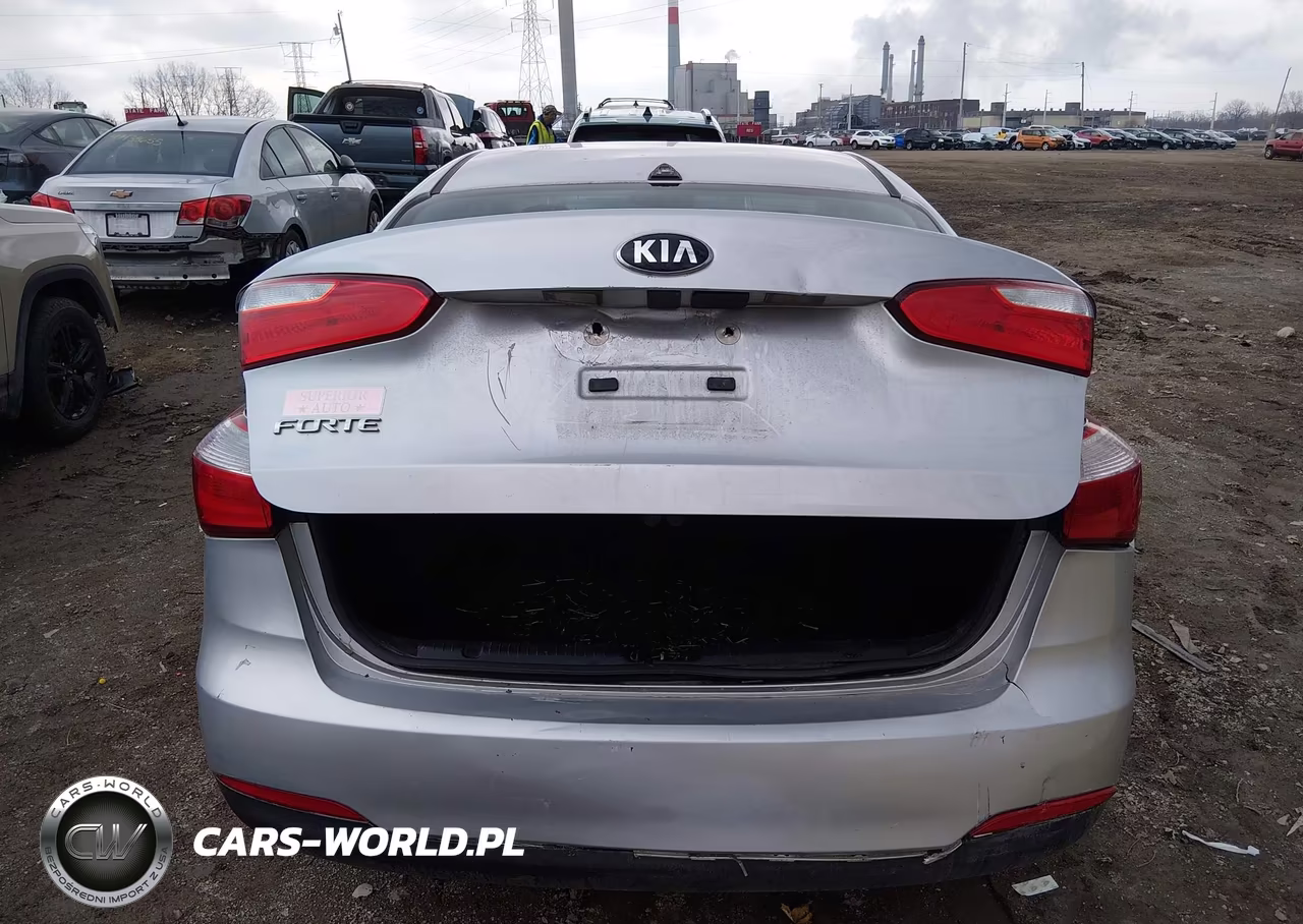 2016 Kia Forte Lx VIN:KNAFK4A61G5439393 - 16