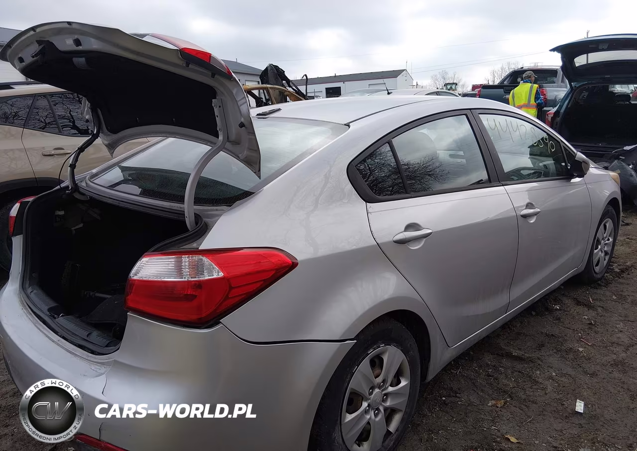 2016 Kia Forte Lx VIN:KNAFK4A61G5439393 - 6