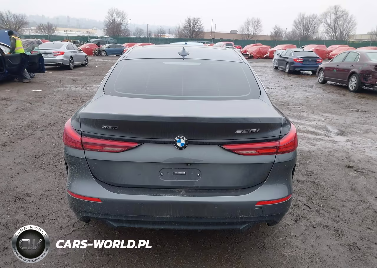 2020 BMW 228I Gran Coupe xDrive VIN:WBA73AK01L7F67547 - 17