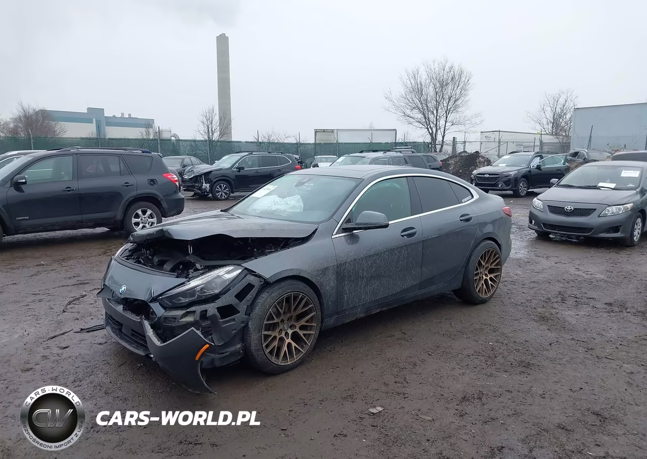 2020 BMW 228I Gran Coupe xDrive VIN:WBA73AK01L7F67547 - 2