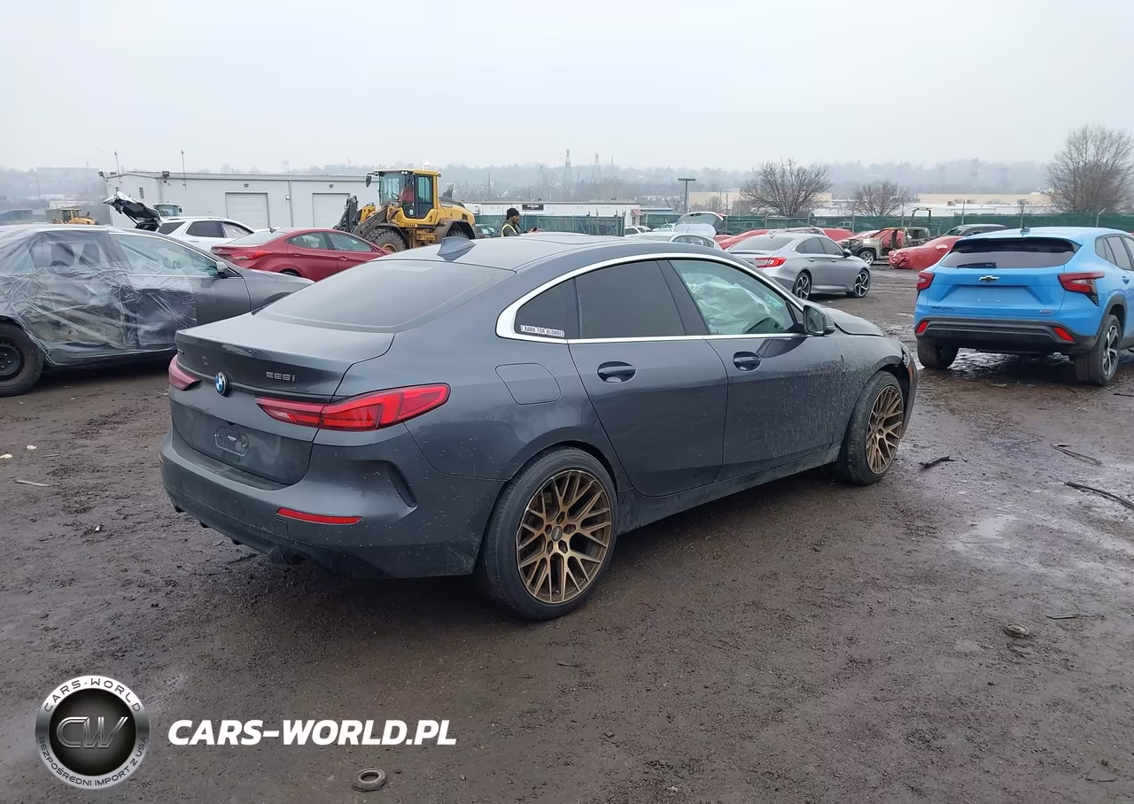 2020 BMW 228I Gran Coupe xDrive VIN:WBA73AK01L7F67547 - 4