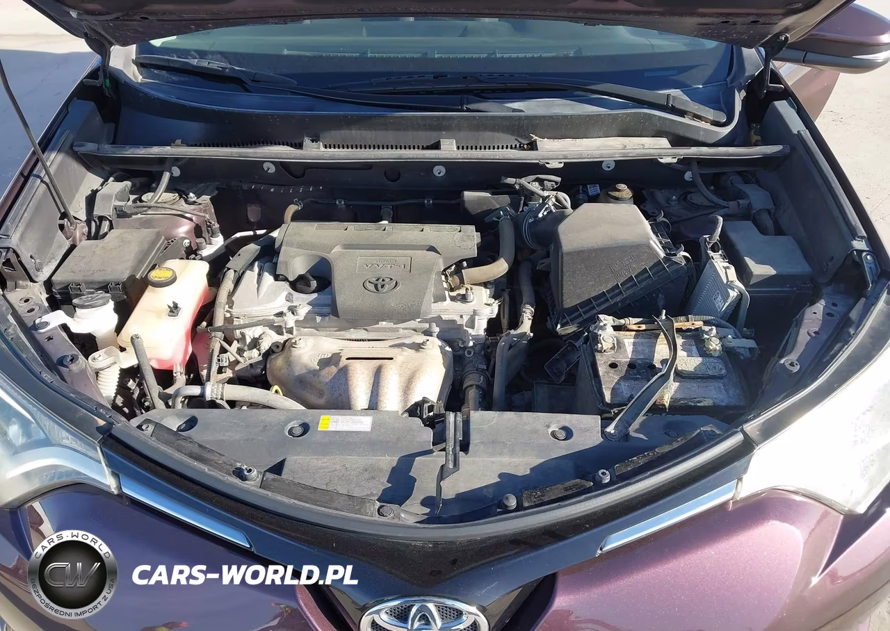 2016 Toyota Rav4 Xle VIN:2T3WFREV4GW235783 - 10