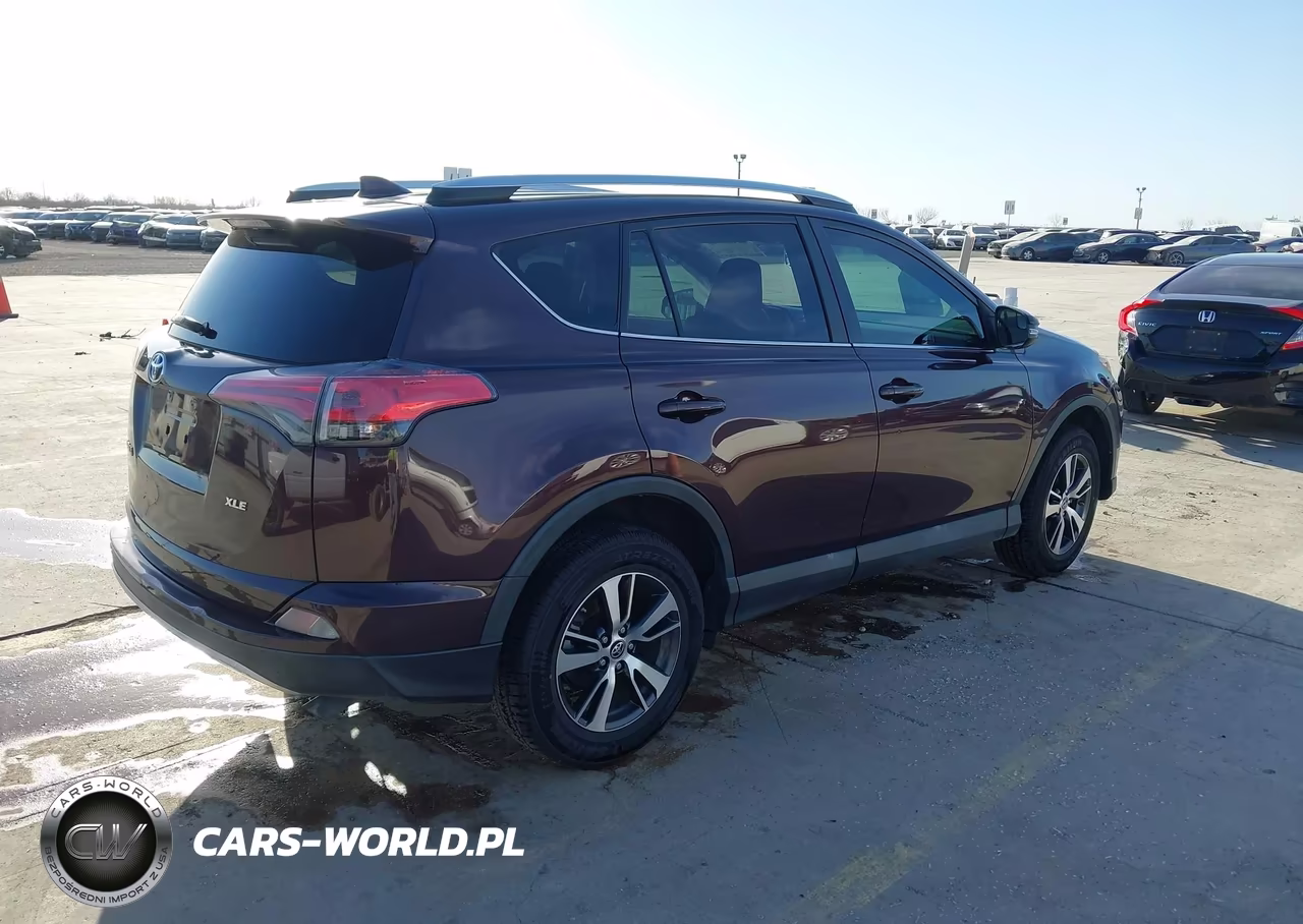 2016 Toyota Rav4 Xle VIN:2T3WFREV4GW235783 - 4