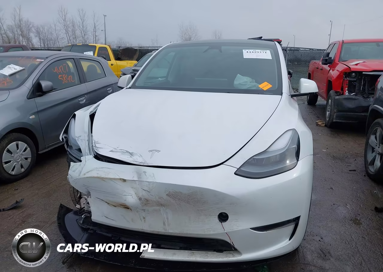 2024 Tesla Model Y Long Range Dual Motor All-Wheel Drive VIN:7SAYGDEE4RF169322 - 10