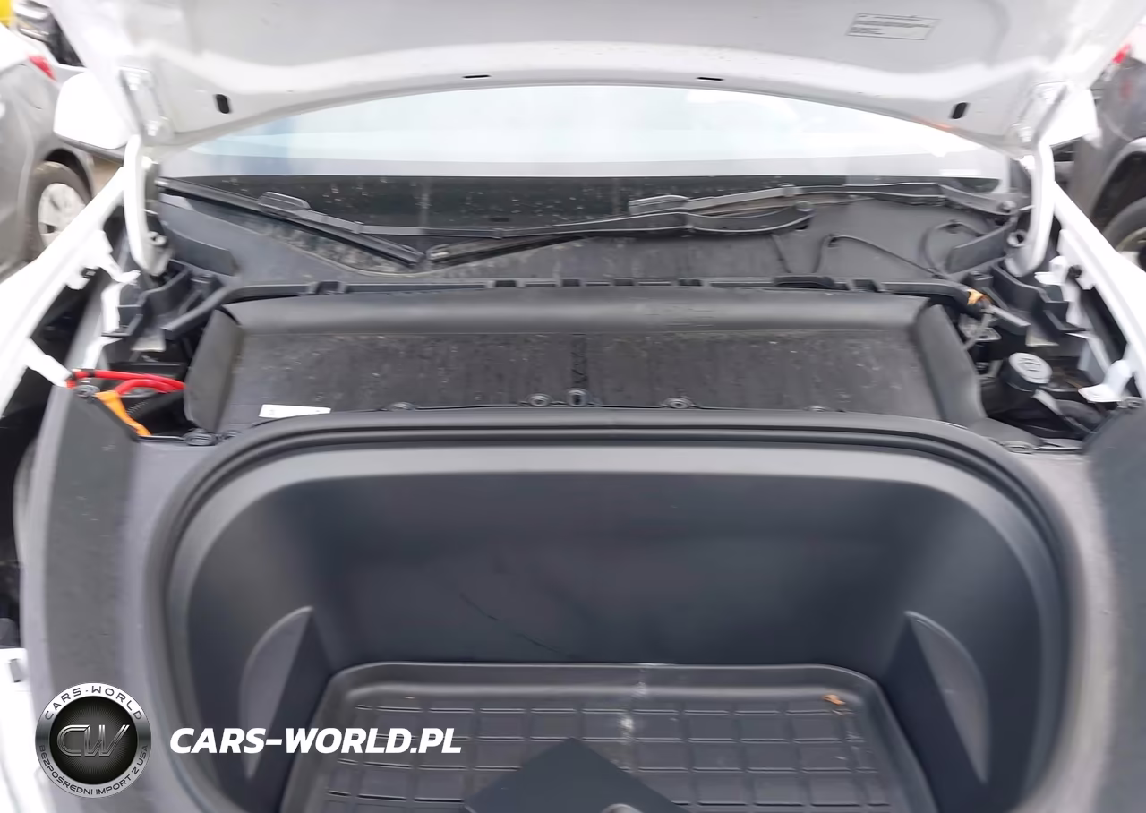 2024 Tesla Model Y Long Range Dual Motor All-Wheel Drive VIN:7SAYGDEE4RF169322 - 9