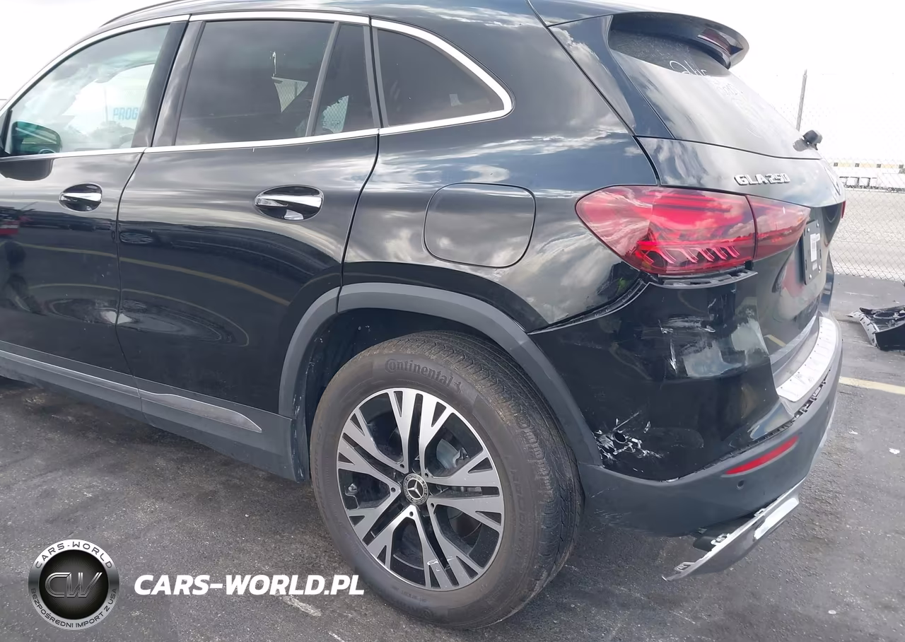 2025 Mercedes-Benz Gla 250 VIN:W1N4N4GBXSJ679993 - 20