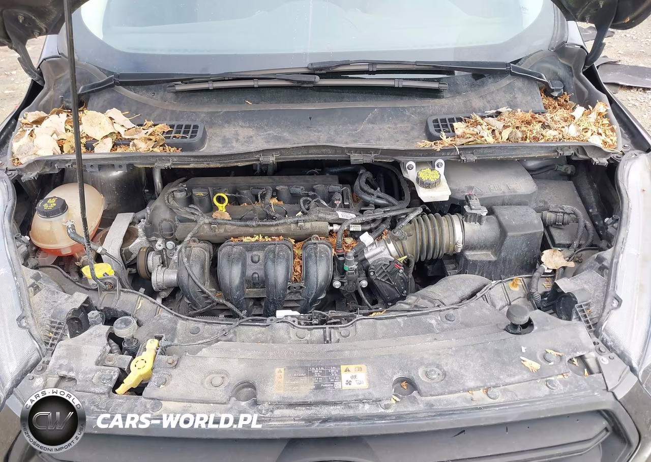 2018 Ford Escape S VIN:1FMCU0F73JUA33599 - 10
