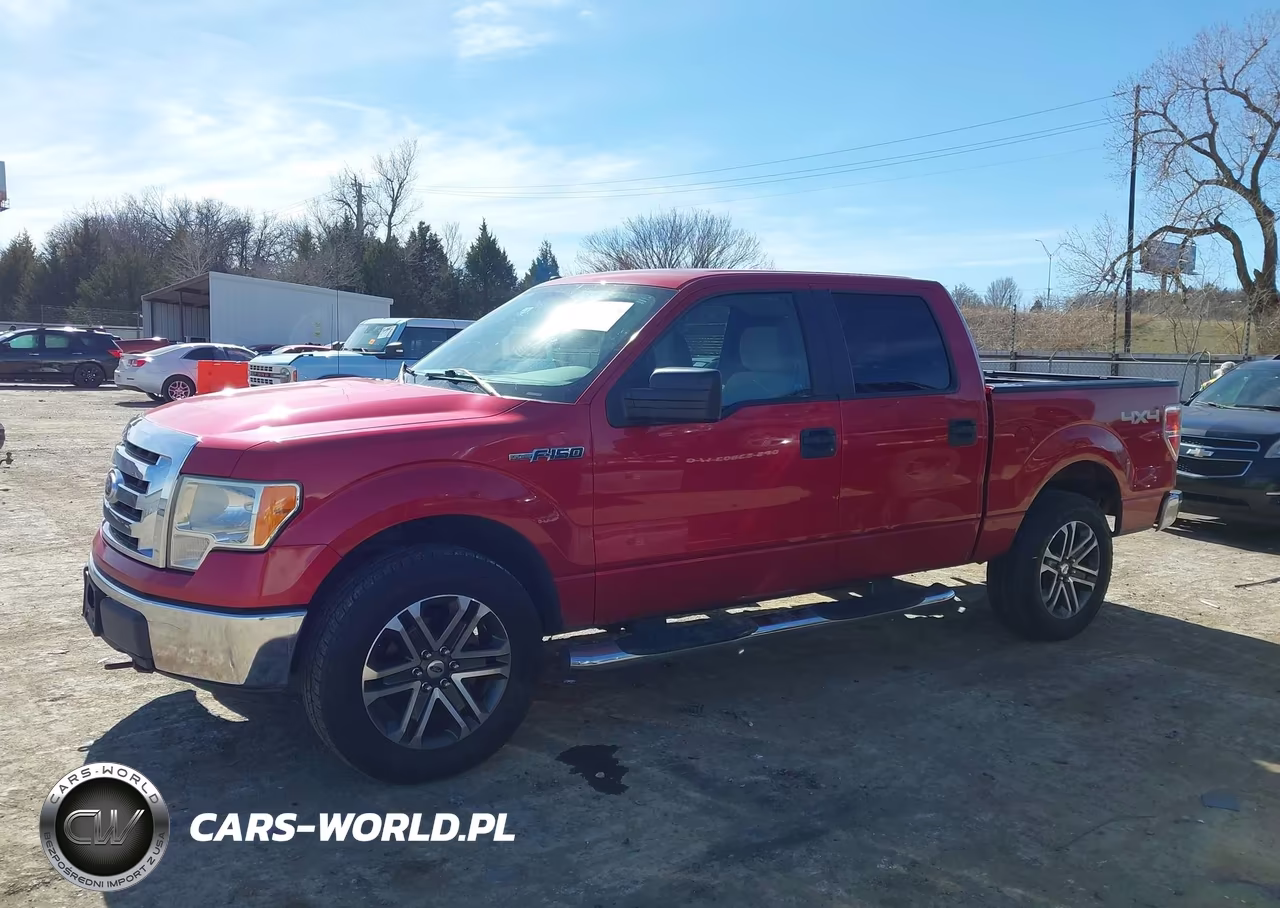 2010 Ford F-150 Fx4-Harley-Davidson-King Ranch-Lariat-Platinum-Xl-Xlt VIN:1FTFW1EV5AKA25632 - 14