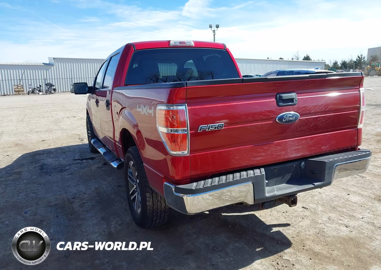 2010 Ford F-150 Fx4-Harley-Davidson-King Ranch-Lariat-Platinum-Xl-Xlt VIN:1FTFW1EV5AKA25632 - 3