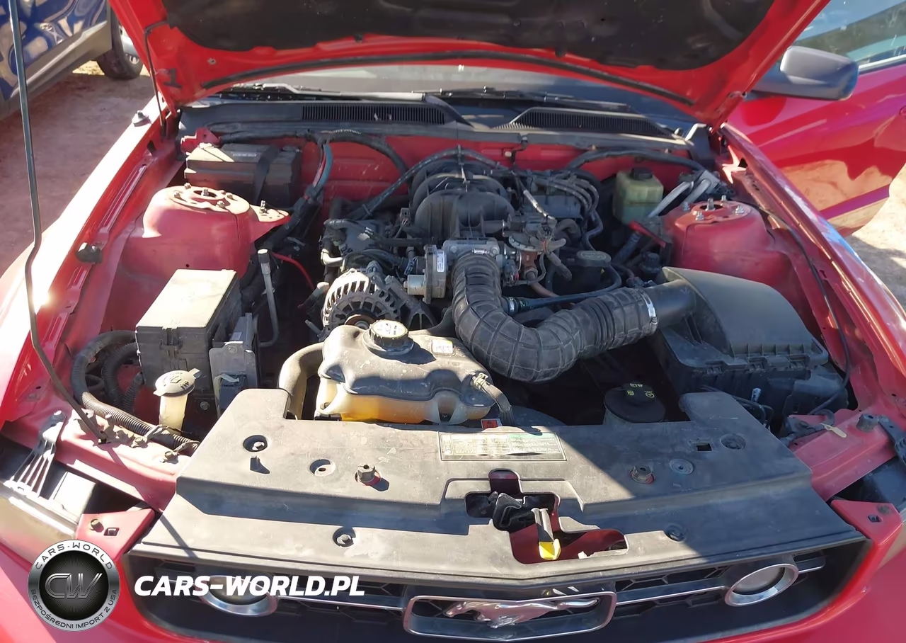 2006 Ford Mustang V6 VIN:1ZVFT80N765118177 - 10
