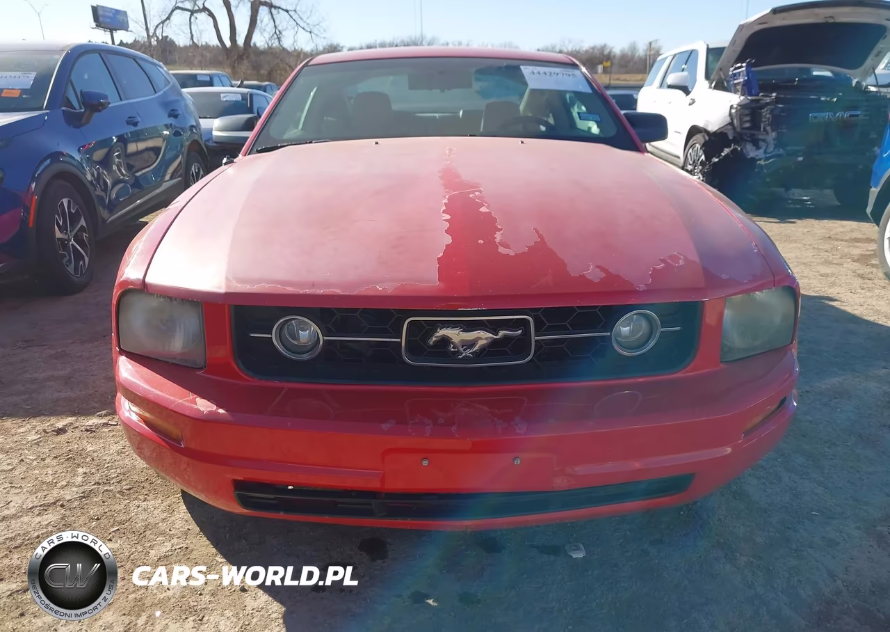 2006 Ford Mustang V6 VIN:1ZVFT80N765118177 - 12