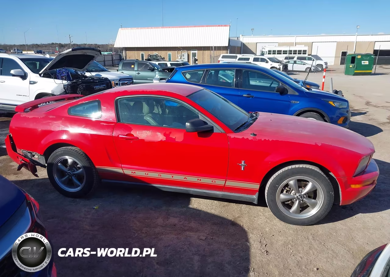 2006 Ford Mustang V6 VIN:1ZVFT80N765118177 - 13