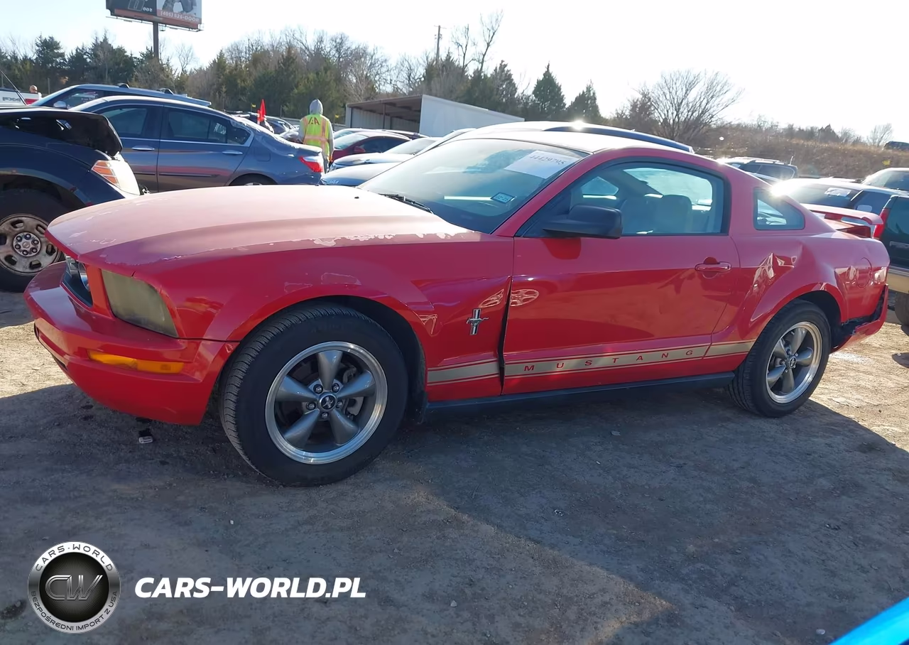 2006 Ford Mustang V6 VIN:1ZVFT80N765118177 - 14