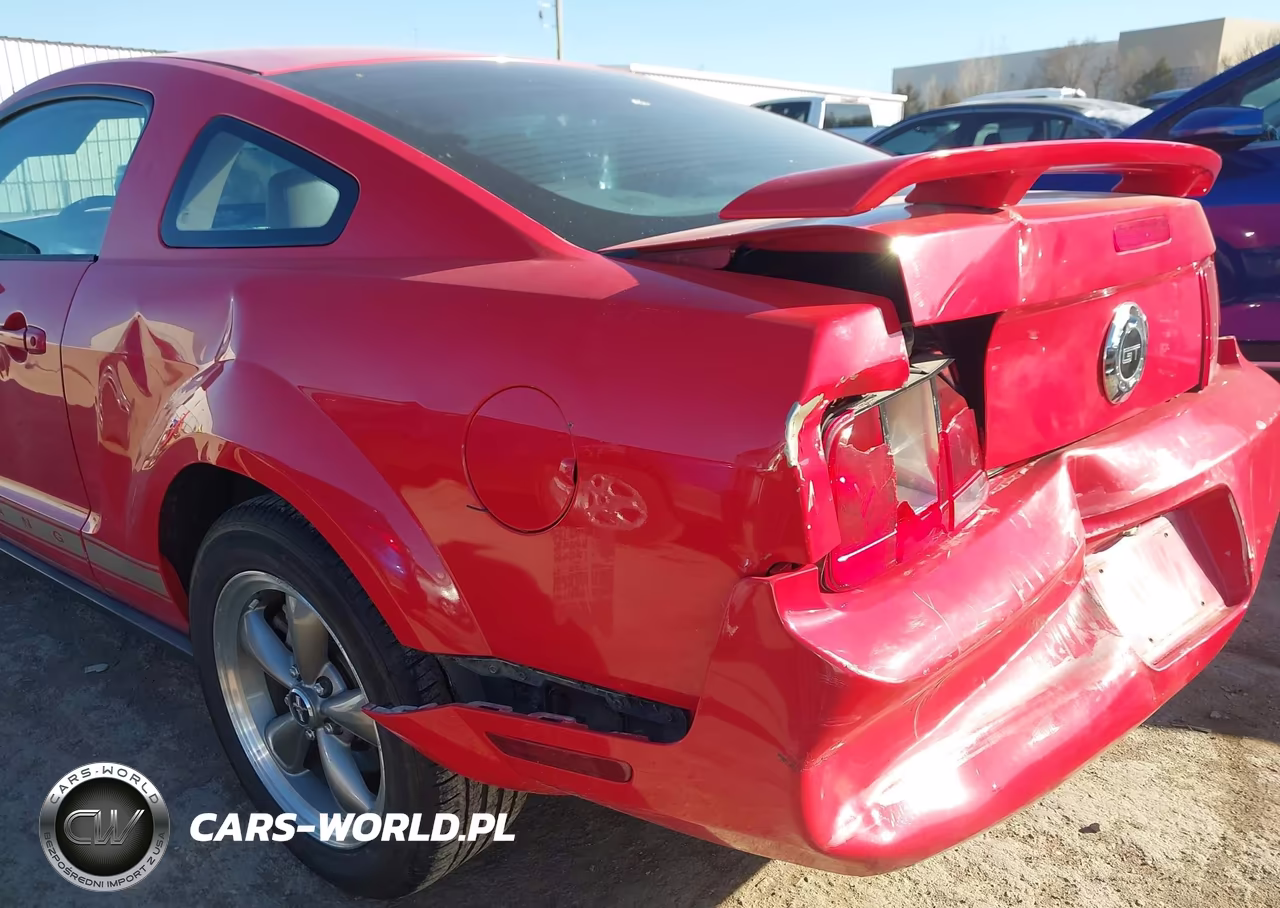 2006 Ford Mustang V6 VIN:1ZVFT80N765118177 - 6