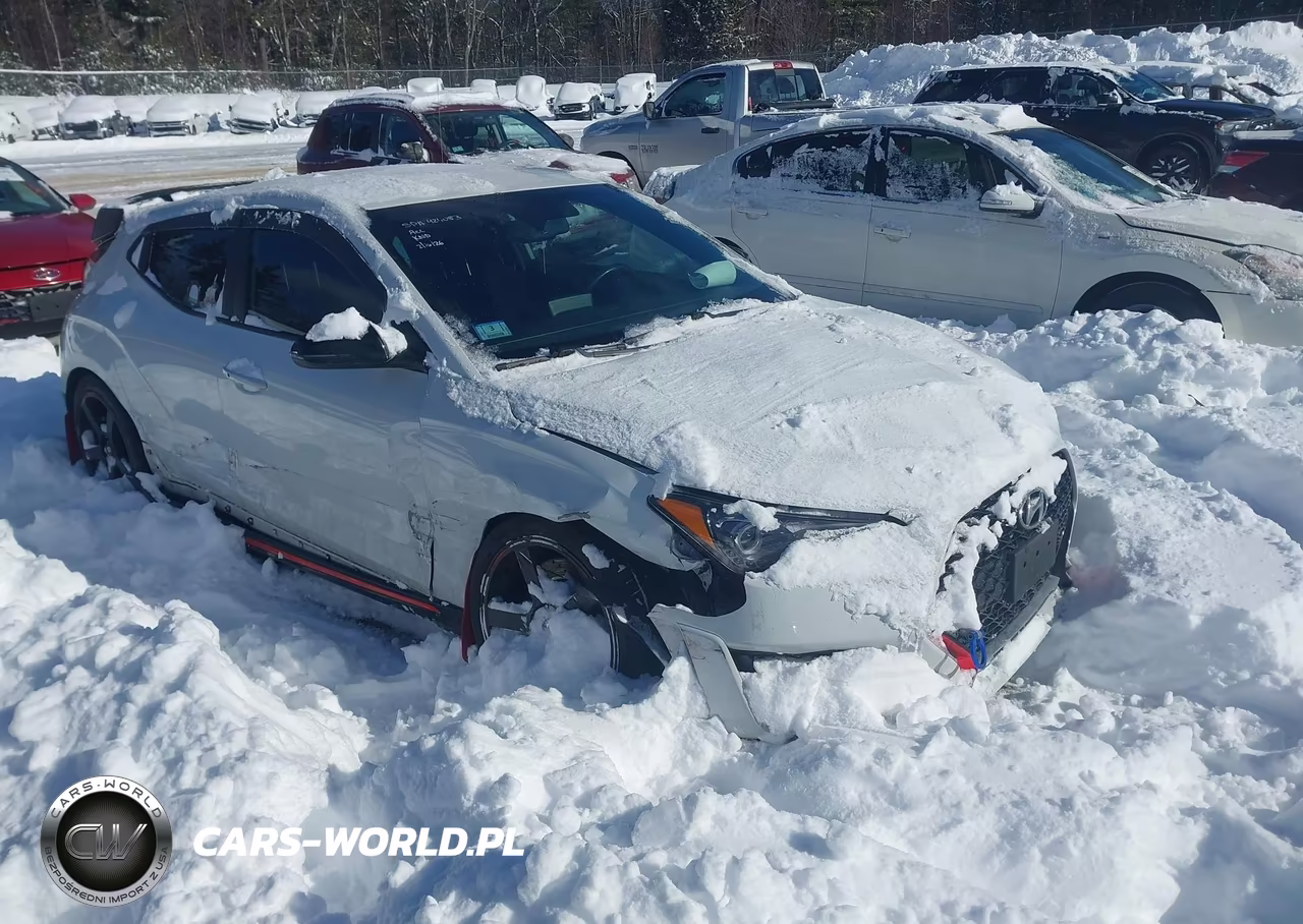 2019 Hyundai Veloster N