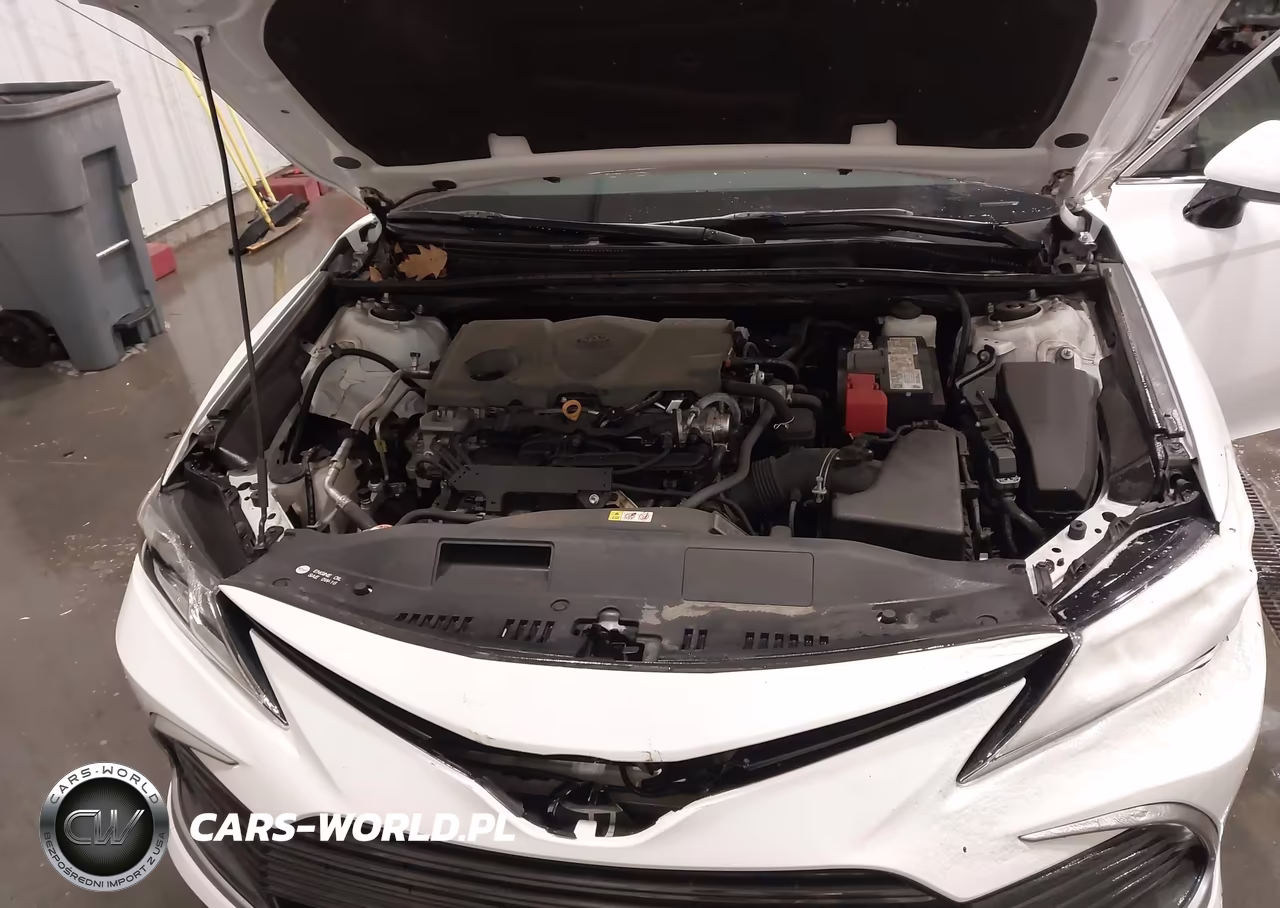 2023 Toyota Camry Le VIN:4T1C11AK8PU753967 - 10