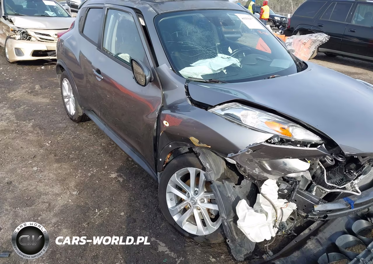 2011 Nissan Juke Sv VIN:JN8AF5MR0BT017539 - 17