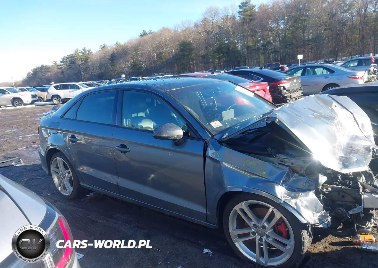 2018 Audi A3 2.0T Premium-2.0T Tech Premium VIN:WAUB8GFF5J1002180 - 14