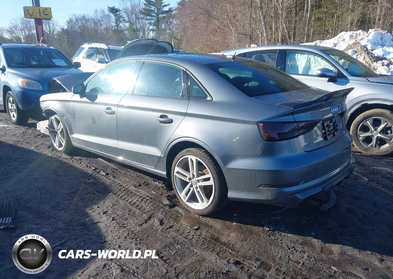 2018 Audi A3 2.0T Premium-2.0T Tech Premium VIN:WAUB8GFF5J1002180 - 3