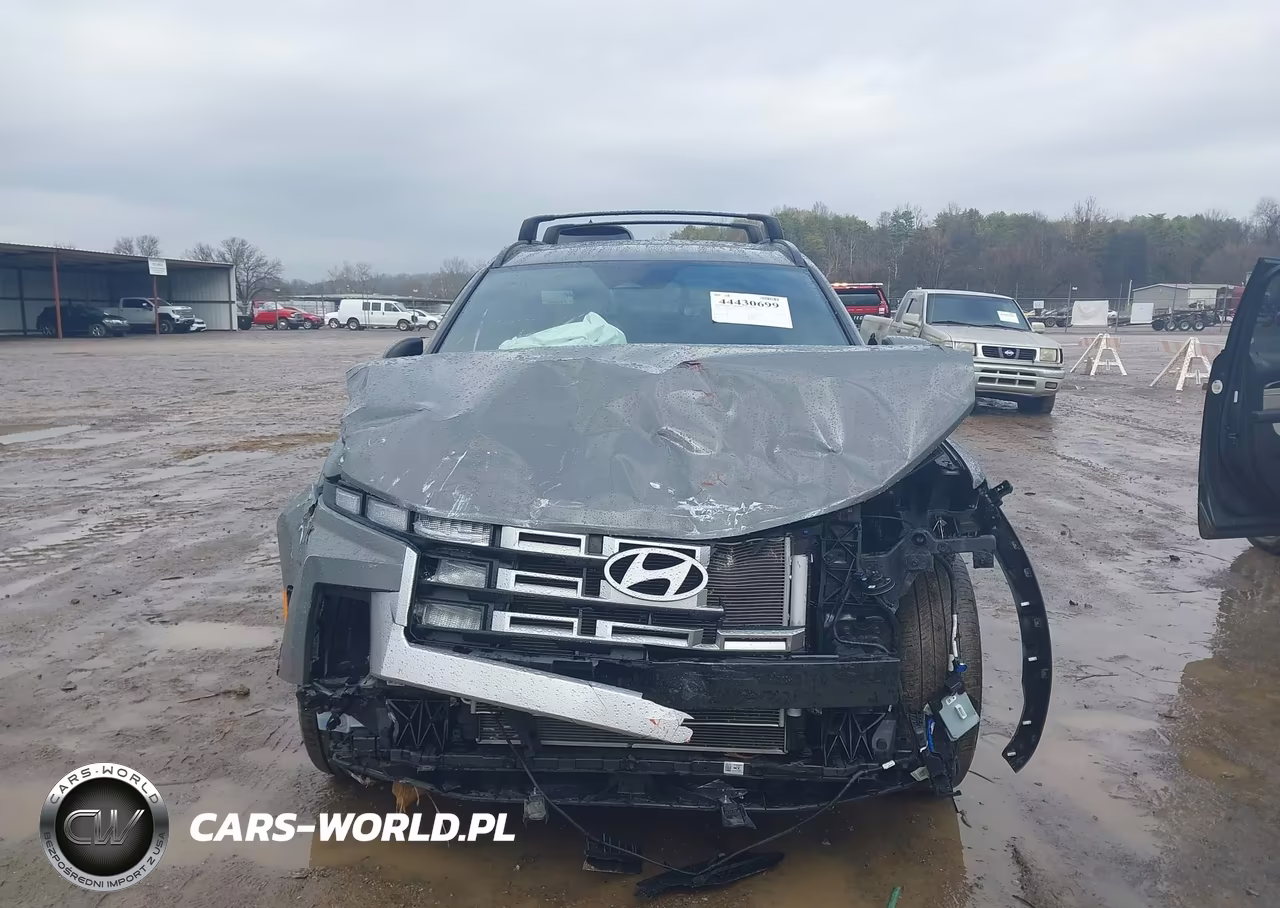 2025 Hyundai Santa Cruz Sel Activity VIN:5NTJC4DE5SH132865 - 12