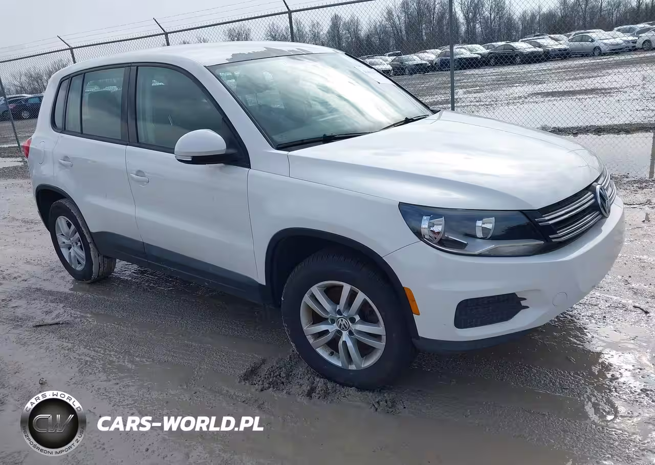 2013 Volkswagen Tiguan S
