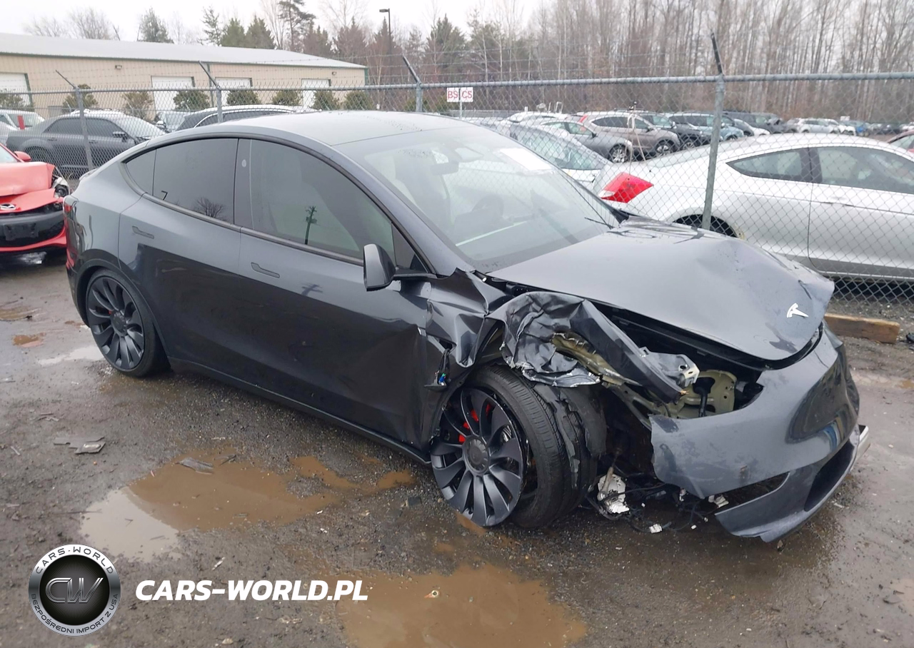 2024 Tesla Model Y Performance Dual Motor All-Wheel Drive