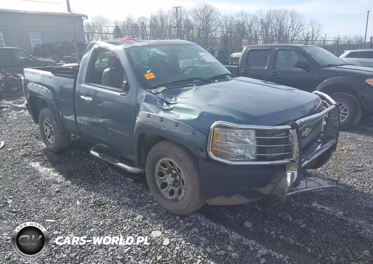 2010 Chevrolet Silverado 1500 Work Truck