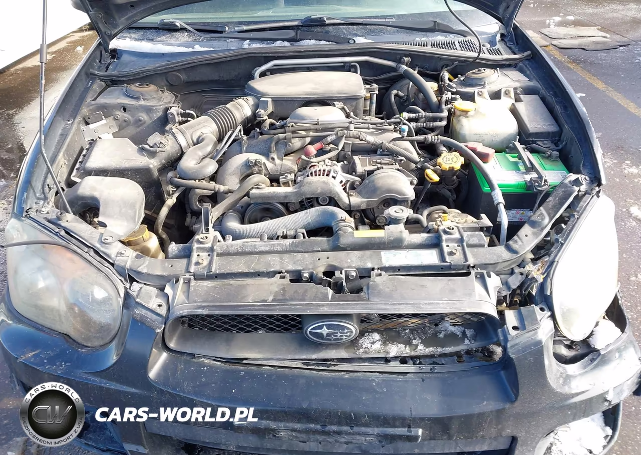 2005 Subaru Impreza 2.5Rs VIN:JF1GD67595G504428 - 10