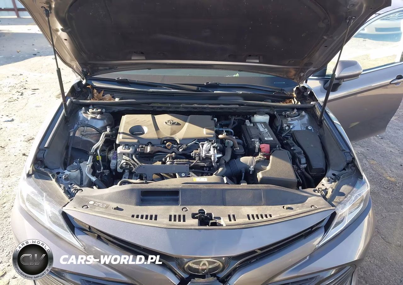 2019 Toyota Camry Le VIN:4T1B11HK7KU167089 - 10