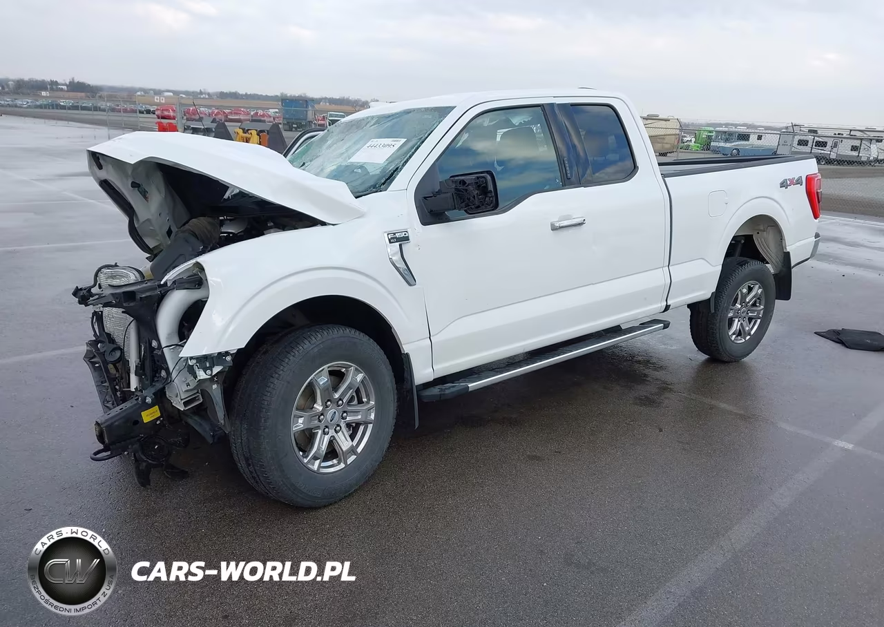 2022 Ford F-150 Xlt VIN:1FTFX1E59NKE86951 - 2