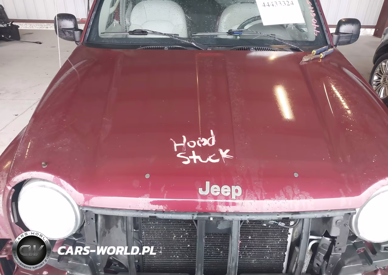 2002 Jeep Liberty Limited Edition VIN:1J4GL58K82W298879 - 10