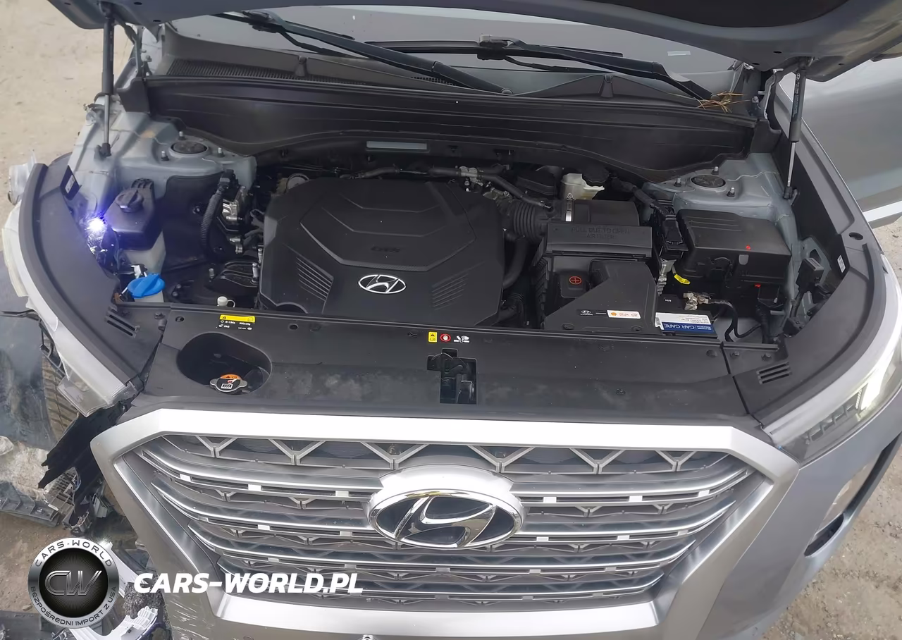 2020 Hyundai Palisade Limited VIN:KM8R54HE6LU108907 - 10