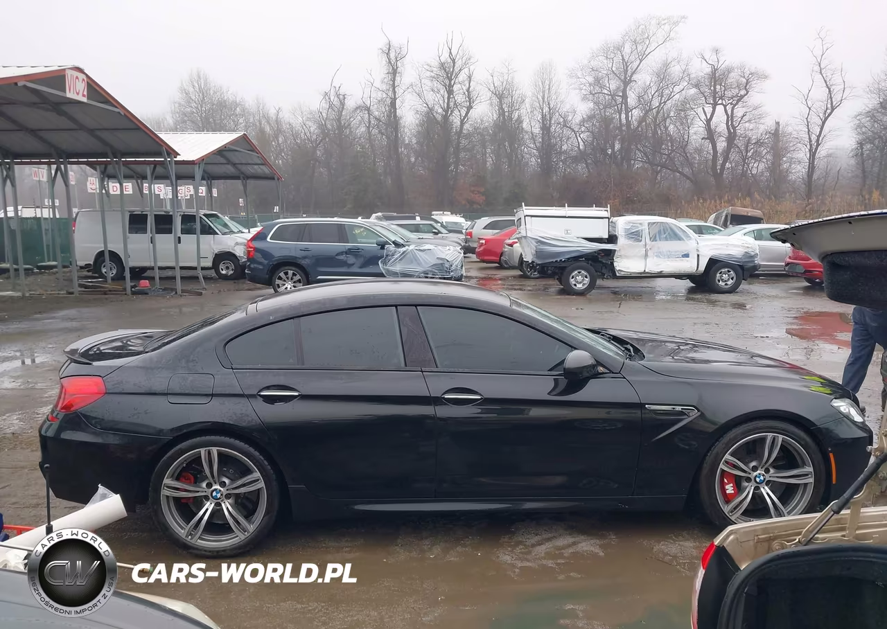 2014 BMW M6 Gran Coupe VIN:WBS6C9C51EDV73530 - 12