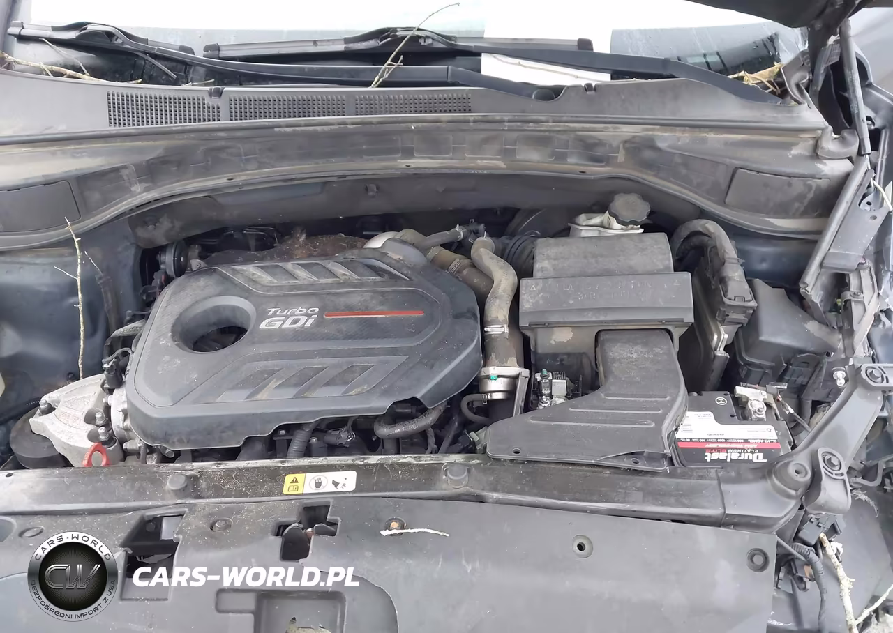 2017 Hyundai Santa Fe Sport 2.0T Ultimate VIN:5XYZW4LA7HG492968 - 10