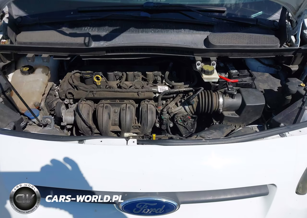 2015 Ford Transit Connect Xlt VIN:NM0GS9F73F1202655 - 10