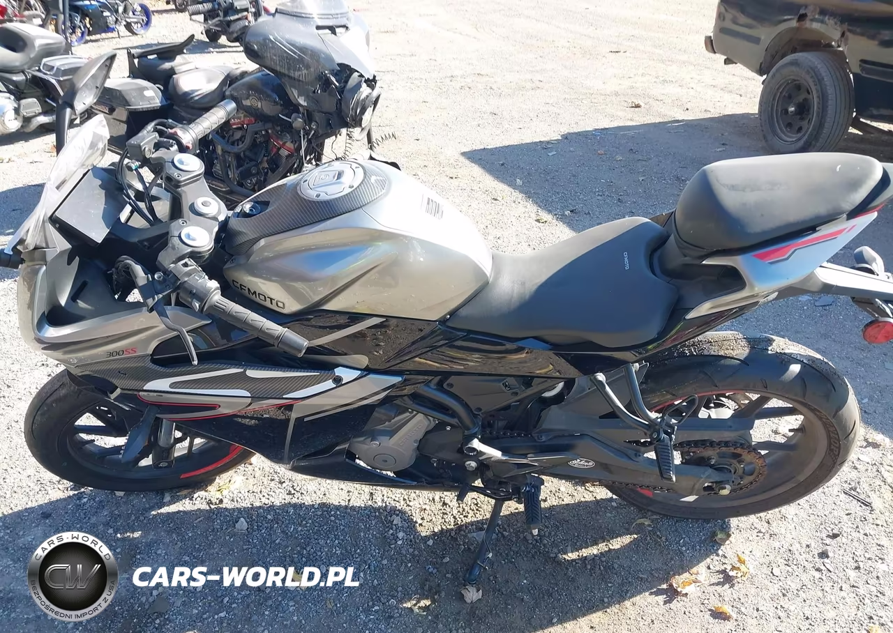 2023 Cf Moto 300Ss VIN:LCEPDPL31P6000498 - 13