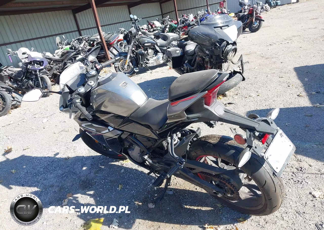 2023 Cf Moto 300Ss VIN:LCEPDPL31P6000498 - 3