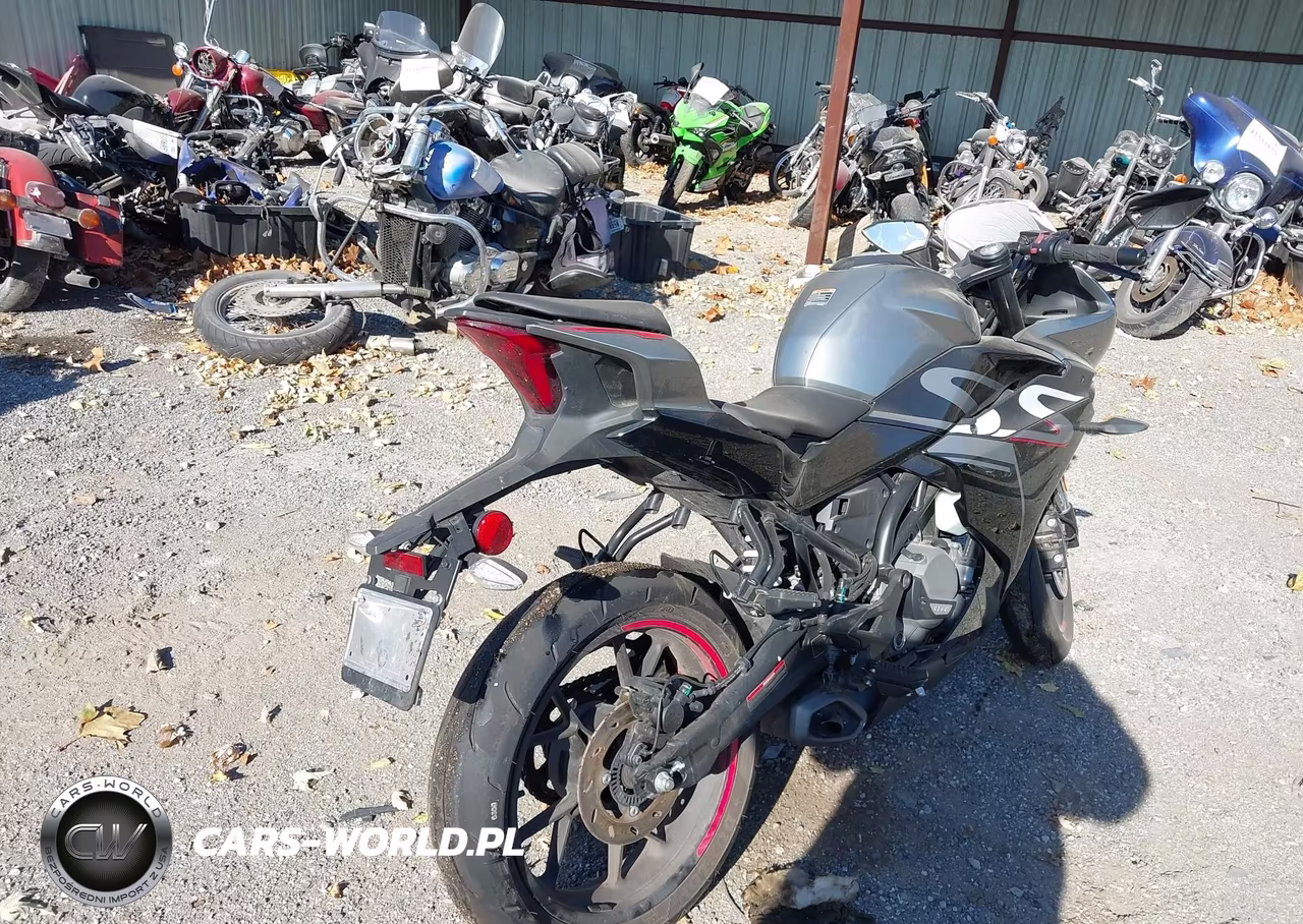 2023 Cf Moto 300Ss VIN:LCEPDPL31P6000498 - 4