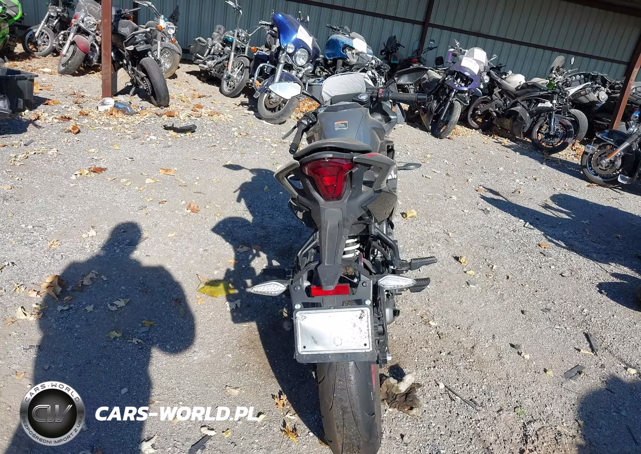 2023 Cf Moto 300Ss VIN:LCEPDPL31P6000498 - 6
