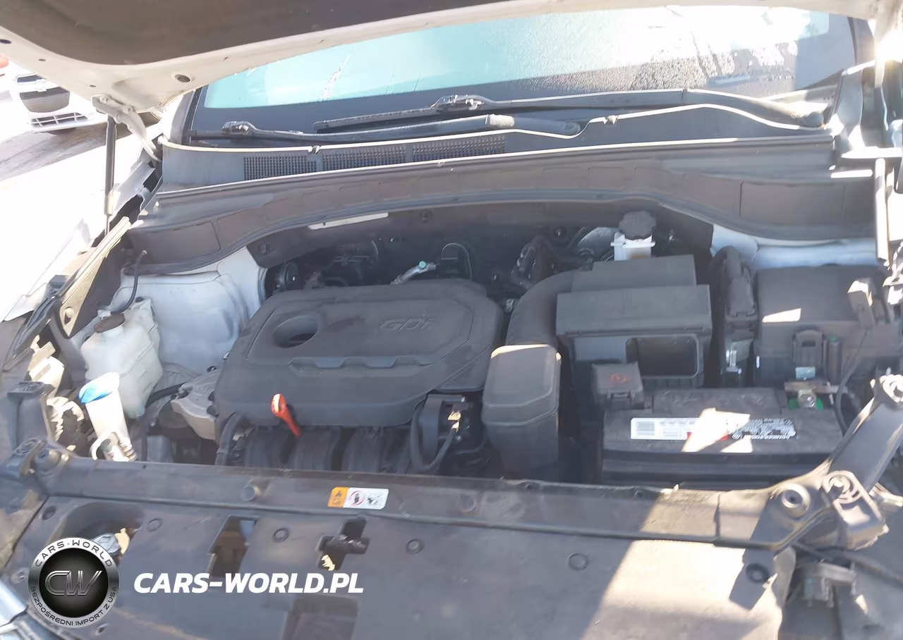 2018 Hyundai Santa Fe Sport 2.4L VIN:5XYZT3LB8JG541175 - 10