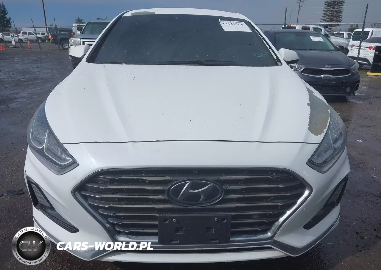 2019 Hyundai Sonata Se VIN:5NPE24AF3KH792225 - 13