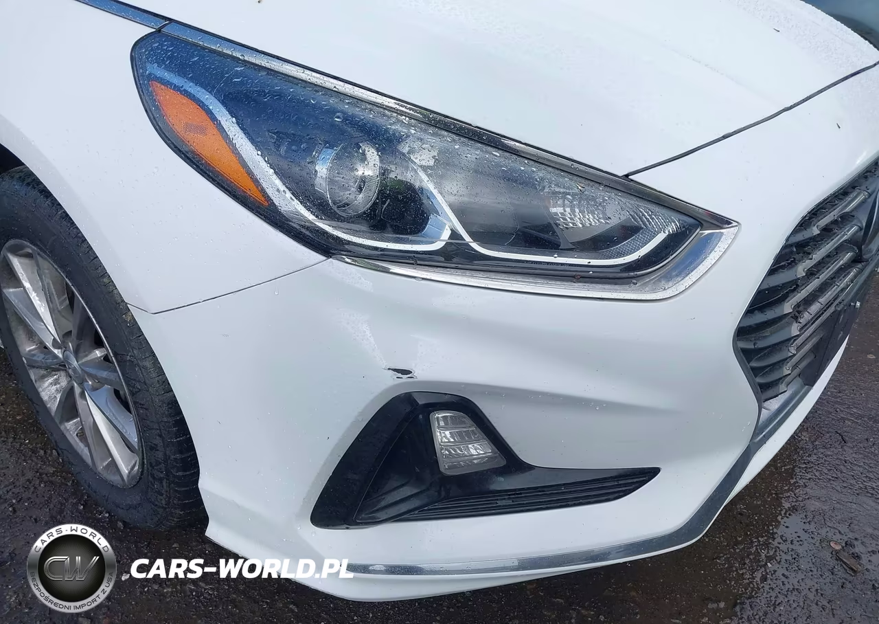 2019 Hyundai Sonata Se VIN:5NPE24AF3KH792225 - 22