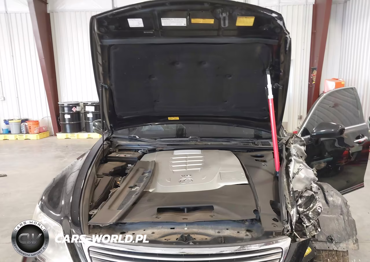 2008 Lexus Ls 460 VIN:JTHBL46F485062646 - 10