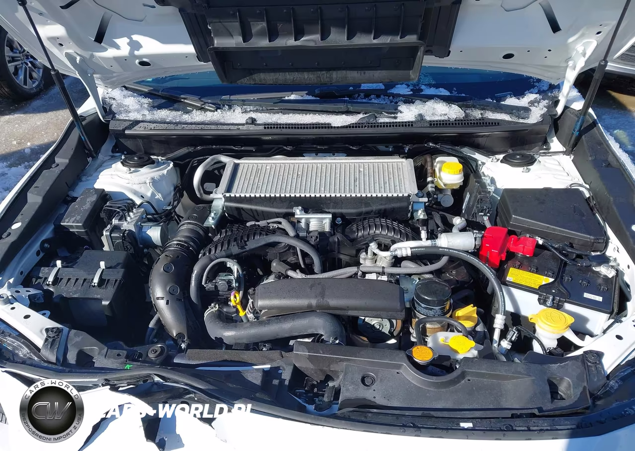 2025 Subaru Wrx Ts VIN:JF1VBAZ61S9802901 - 10