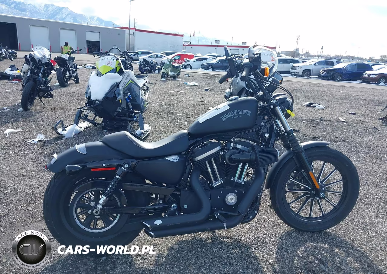 2014 Harley-Davidson Xl883 Iron 883 VIN:1HD4LE214EC437192 - 12