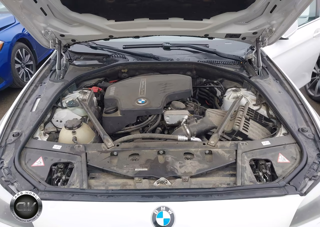 2013 BMW 528I VIN:WBAXG5C51DD234092 - 10