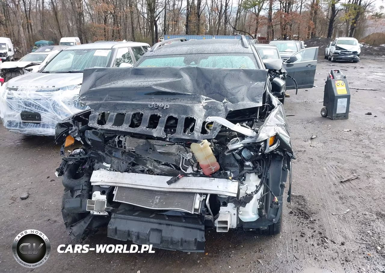 2019 Jeep Cherokee High Altitude 4X4 VIN:1C4PJMDX7KD407111 - 11
