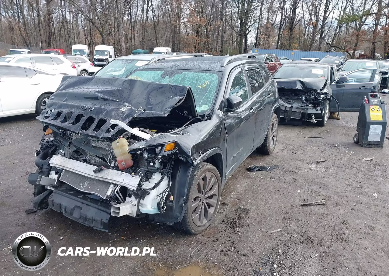 2019 Jeep Cherokee High Altitude 4X4 VIN:1C4PJMDX7KD407111 - 2