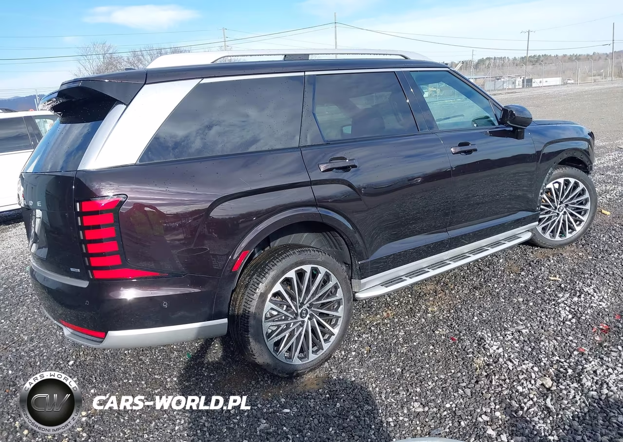 2026 Hyundai Palisade Calligraphy VIN:KM8RMES25TU045273 - 4